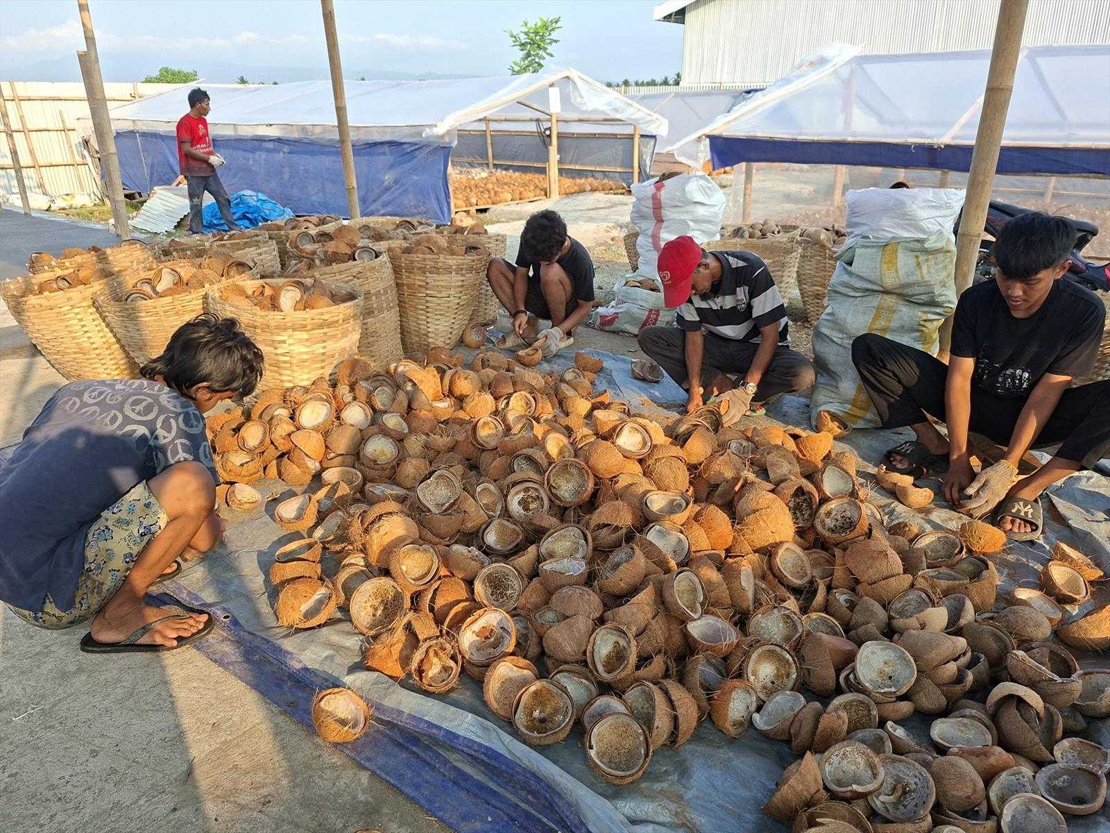 Pekerja membersihkan sisa daging dari tempurung kelapa